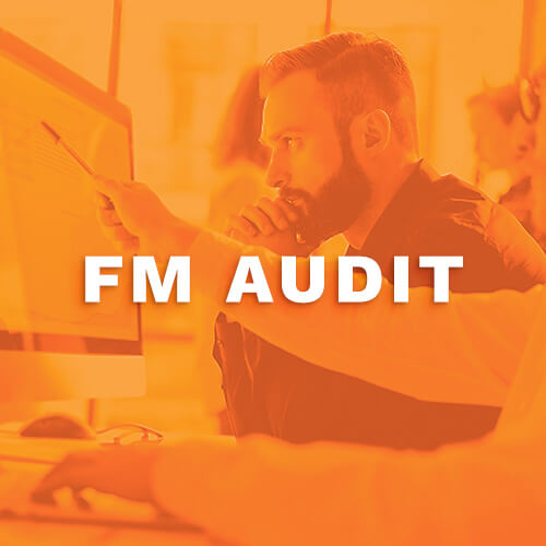 FM-Audit-compressed