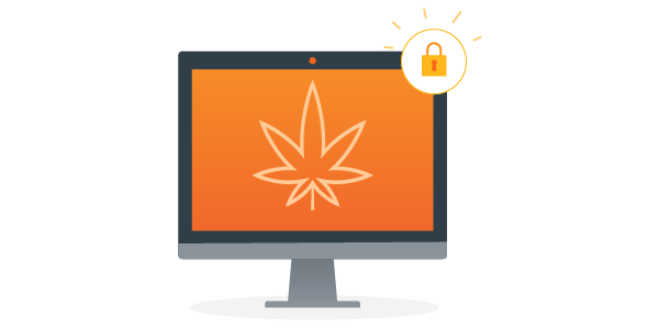 Cannabis Network Security